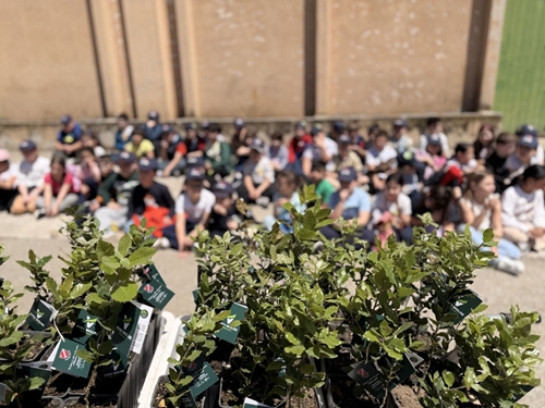 Piccoli vivaisti crescono: l’Outdoor Education unisce scuola, natura e territorio molisano